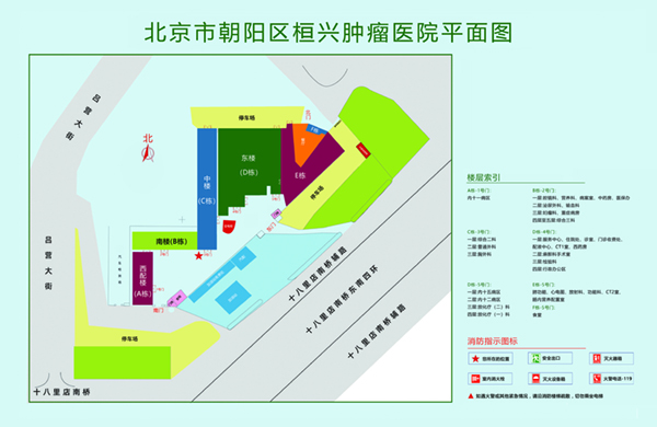 大鸡巴狂操逼逼视频导航北京市朝阳区桓兴肿瘤医院平面图